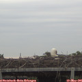 06_20-mast.jpg