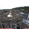 06_25-nest.jpg