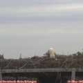 06_35-mast.jpg