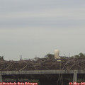 06_40-mast.jpg