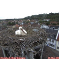 06_40-nest.jpg