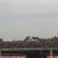 06_55-mast.jpg
