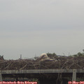 07_00-mast.jpg