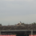 07_05-mast.jpg