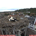 07_05-nest.jpg