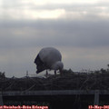 08_15-mast.jpg