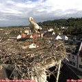 09_00-nest.jpg