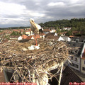 09_15-nest.jpg
