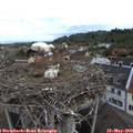 10_10-nest.jpg
