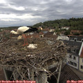 10_20-nest.jpg