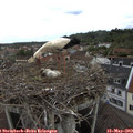 10_35-nest.jpg