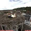 12_15-nest.jpg