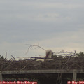 12_25-mast.jpg