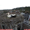 12_25-nest.jpg