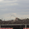 12_30-mast.jpg