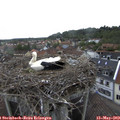 12_30-nest.jpg