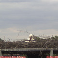12_35-mast.jpg