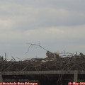 13_35-mast.jpg