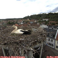 13_35-nest.jpg