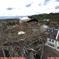 14_20-nest.jpg