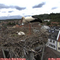 14_25-nest.jpg