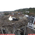 15_00-nest.jpg