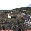 15_05-nest.jpg