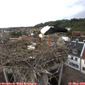 15_25-nest.jpg