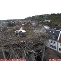 16_15-nest.jpg