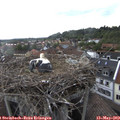 16_25-nest.jpg