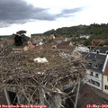16_45-nest.jpg