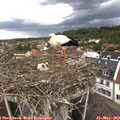 18_10-nest.jpg