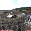 18_40-nest.jpg
