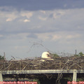 18_45-mast.jpg