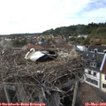 18_45-nest.jpg