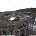 18_50-nest.jpg