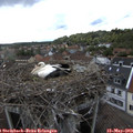 18_55-nest.jpg