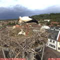 20_00-nest.jpg