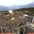 20_10-nest.jpg