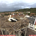 20_15-nest.jpg
