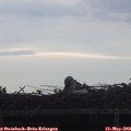 20_20-mast.jpg