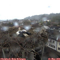20_30-nest.jpg