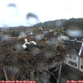 20_35-nest.jpg