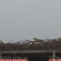 20_40-mast.jpg