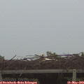 20_45-mast.jpg