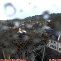 20_45-nest.jpg