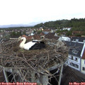 05_45-nest.jpg
