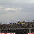 06_00-mast.jpg