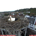 06_05-nest.jpg