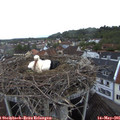 06_10-nest.jpg
